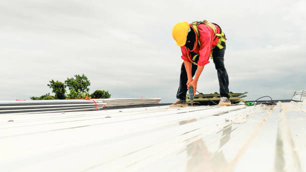 Best Storm Damage Roof Repair  in Wright, WY